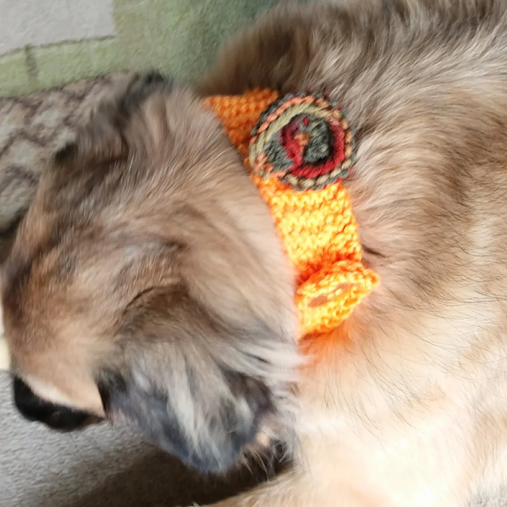 Pet Dog Collar Covers Fall Orange Brown Floral